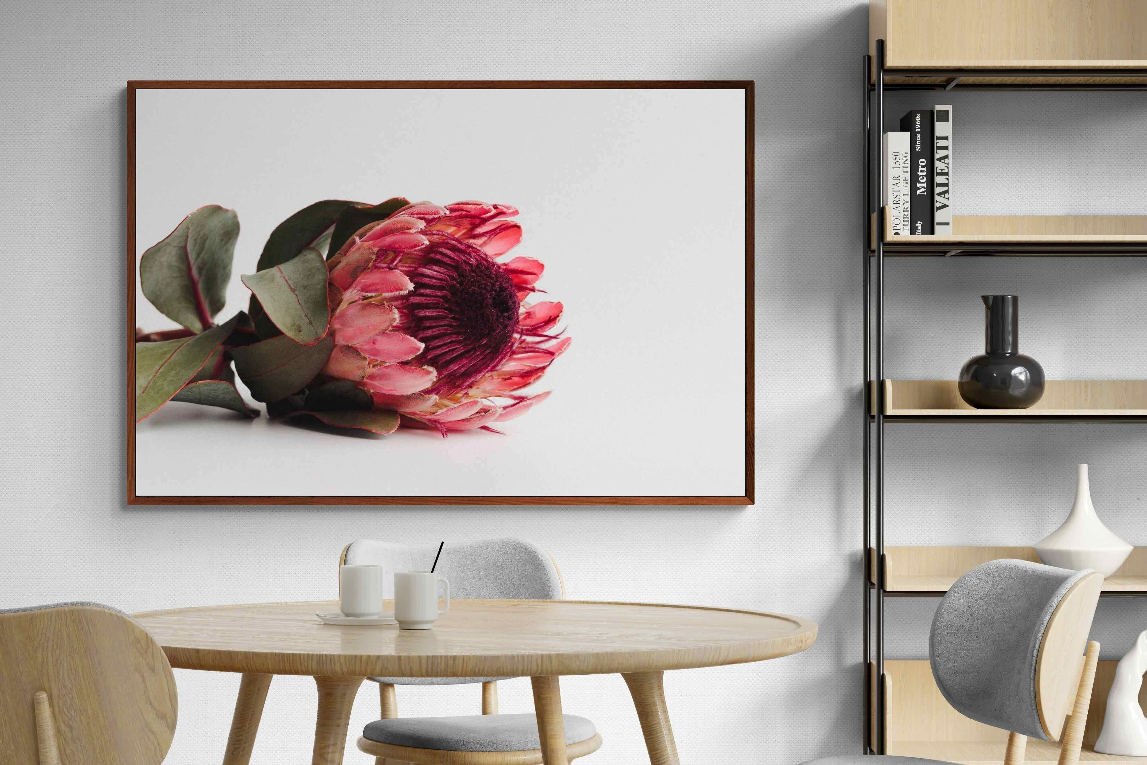 Pixalot ® Resting Protea