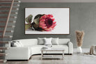 Pixalot ® Resting Protea