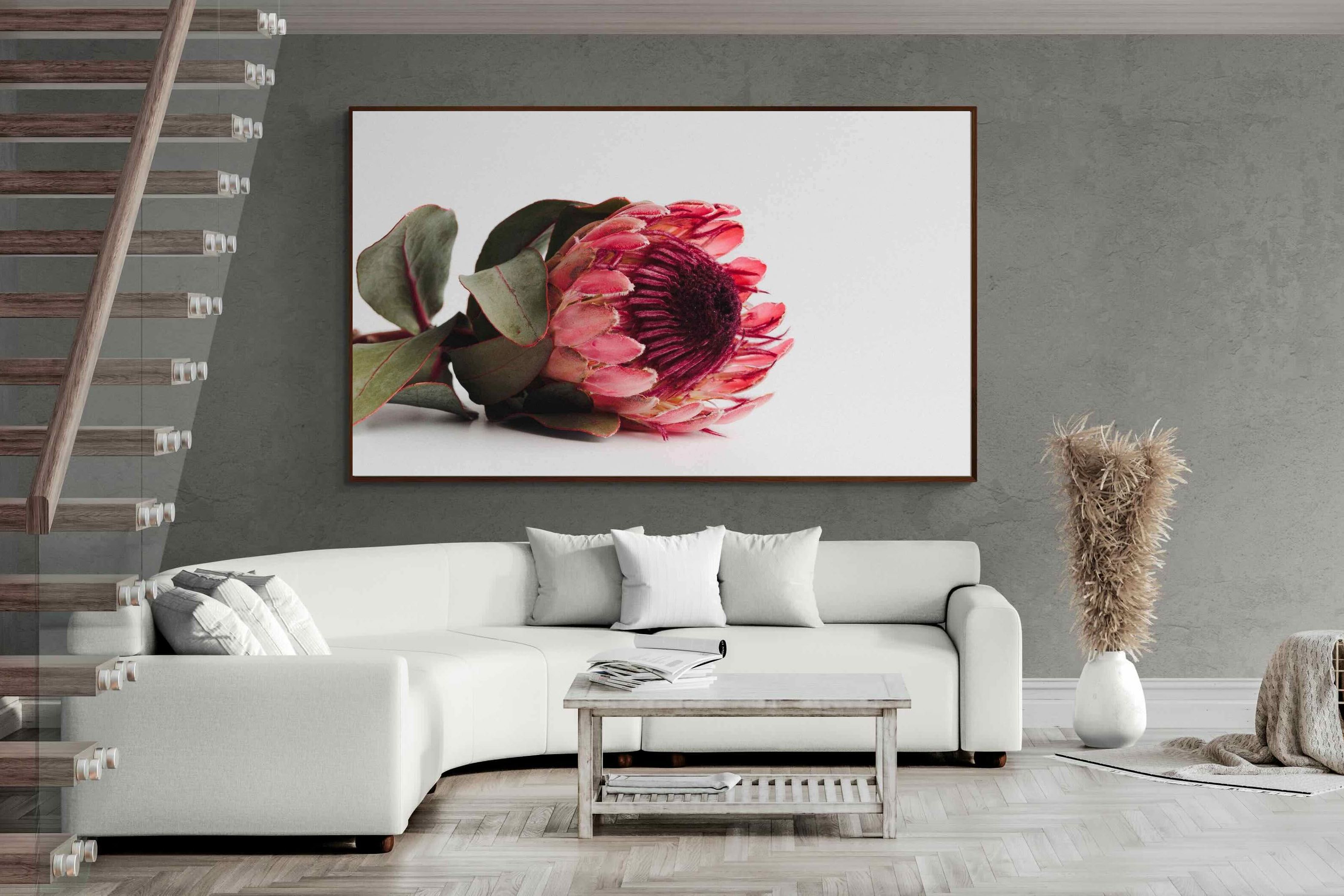 Pixalot ® Resting Protea