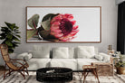 Pixalot ® Resting Protea