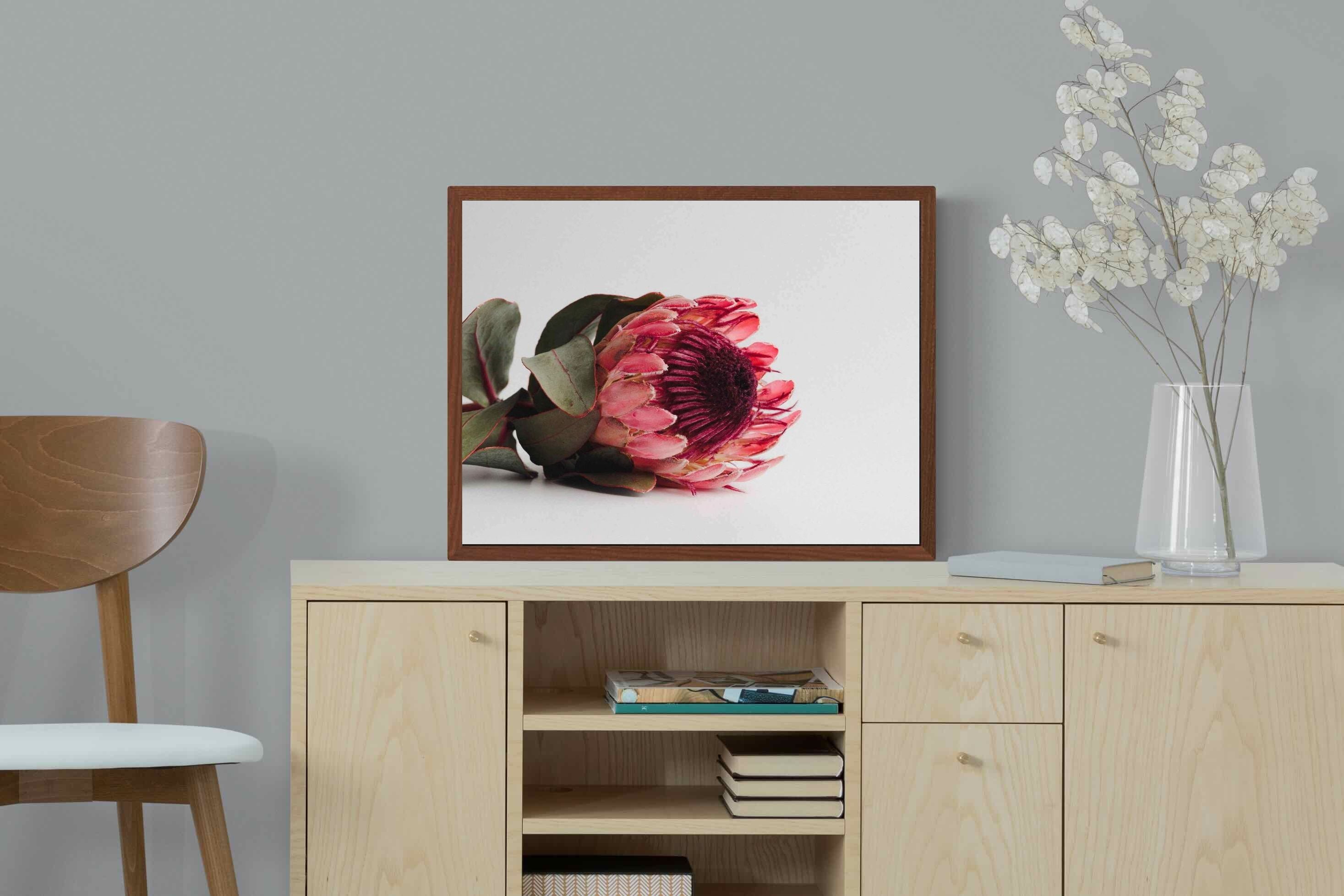 Pixalot ® Resting Protea