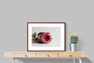 Pixalot ® Resting Protea