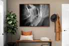 Pixalot ® Rhino Eye