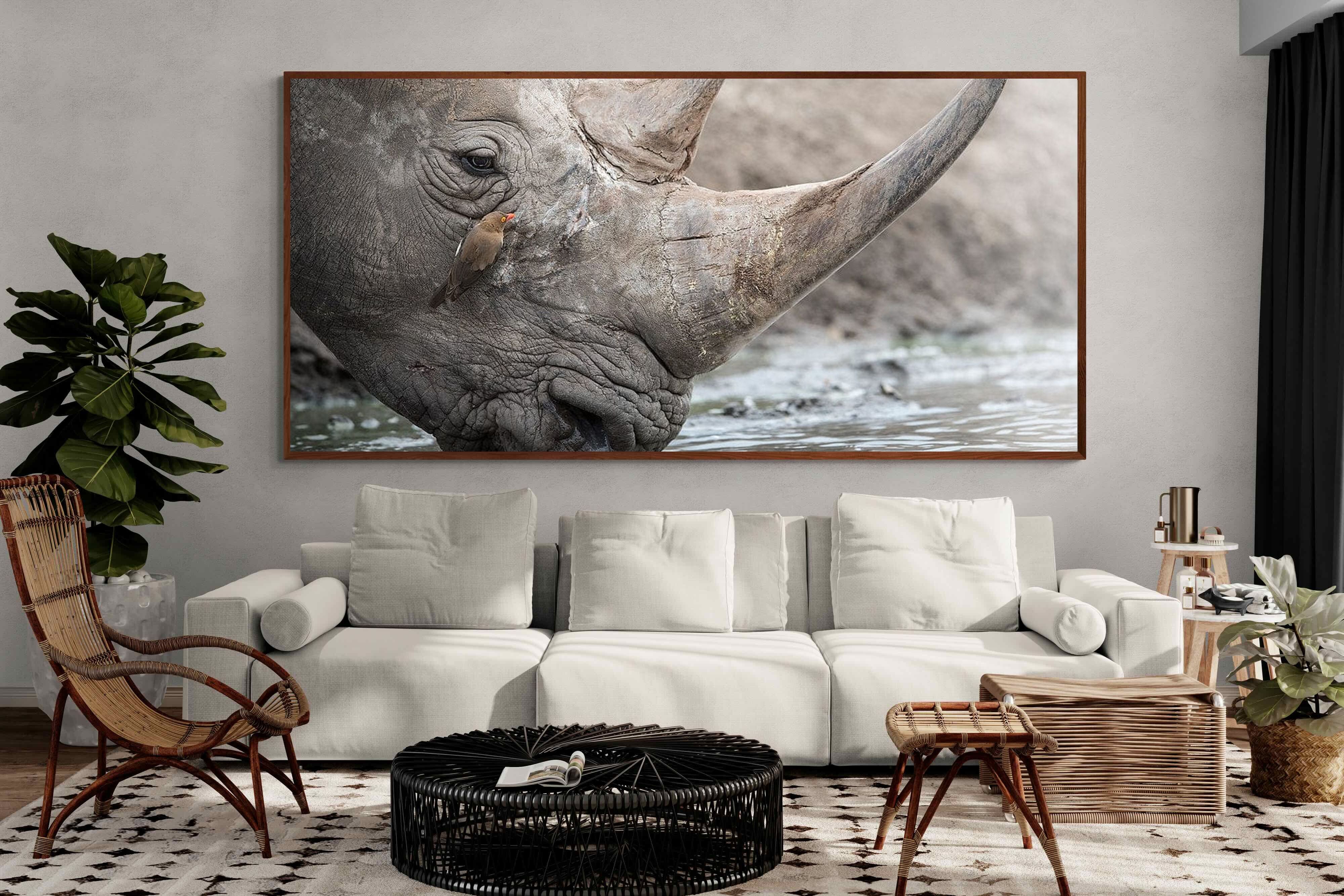 Pixalot Rhino & Friend