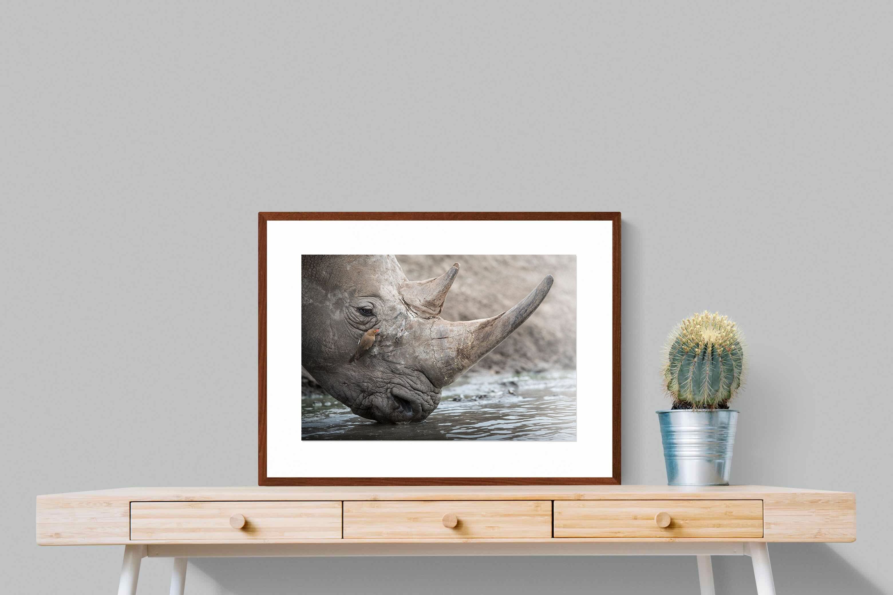 Pixalot Rhino & Friend