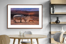 Pixalot ® Rhino Road
