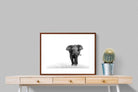 Pixalot ® Roaming Bull