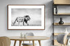 Pixalot ® Roaming Lion