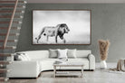 Pixalot ® Roaming Lion