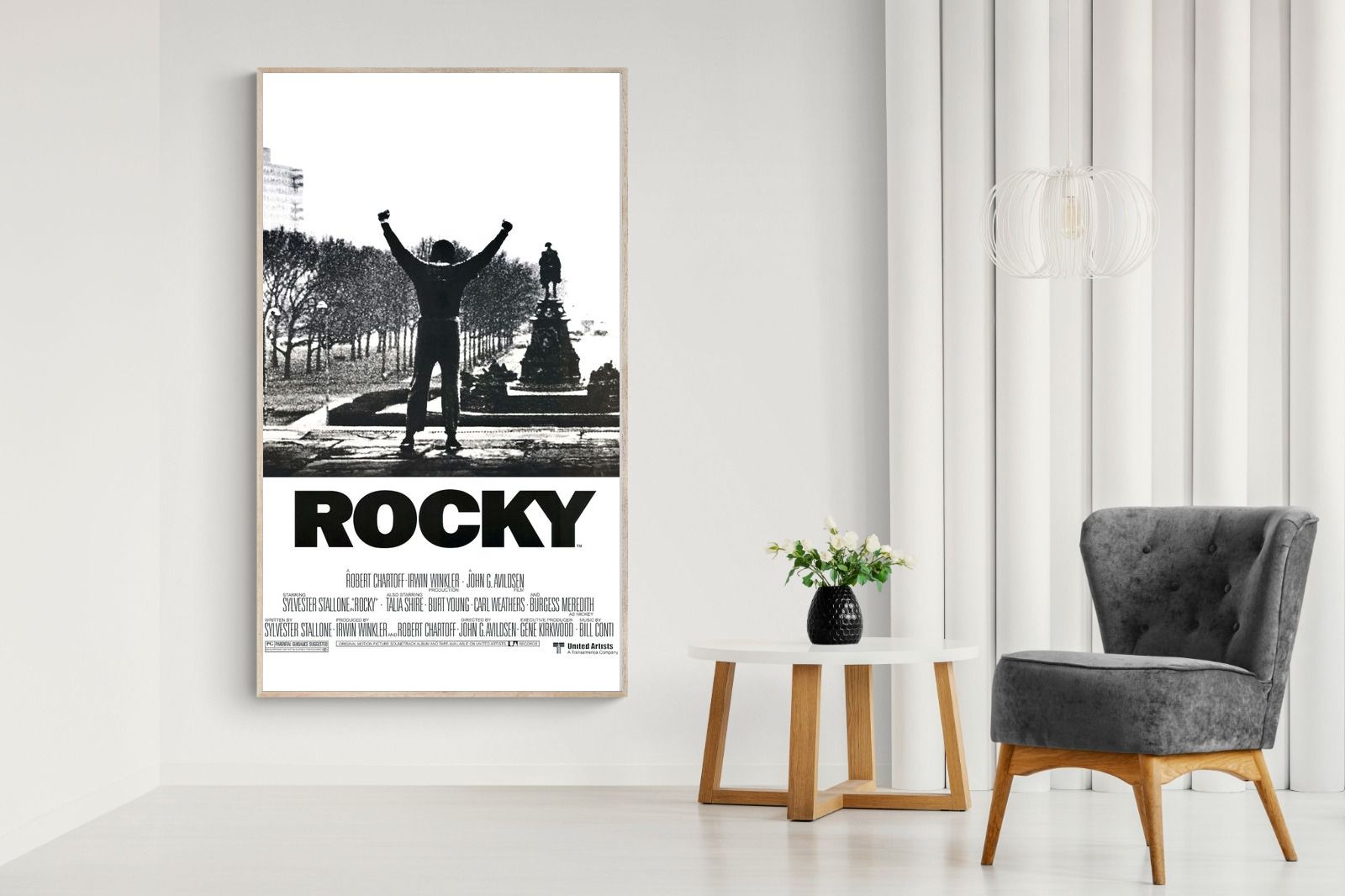 Pixalot Rocky