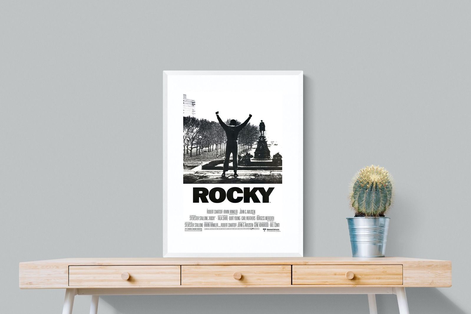 Pixalot Rocky