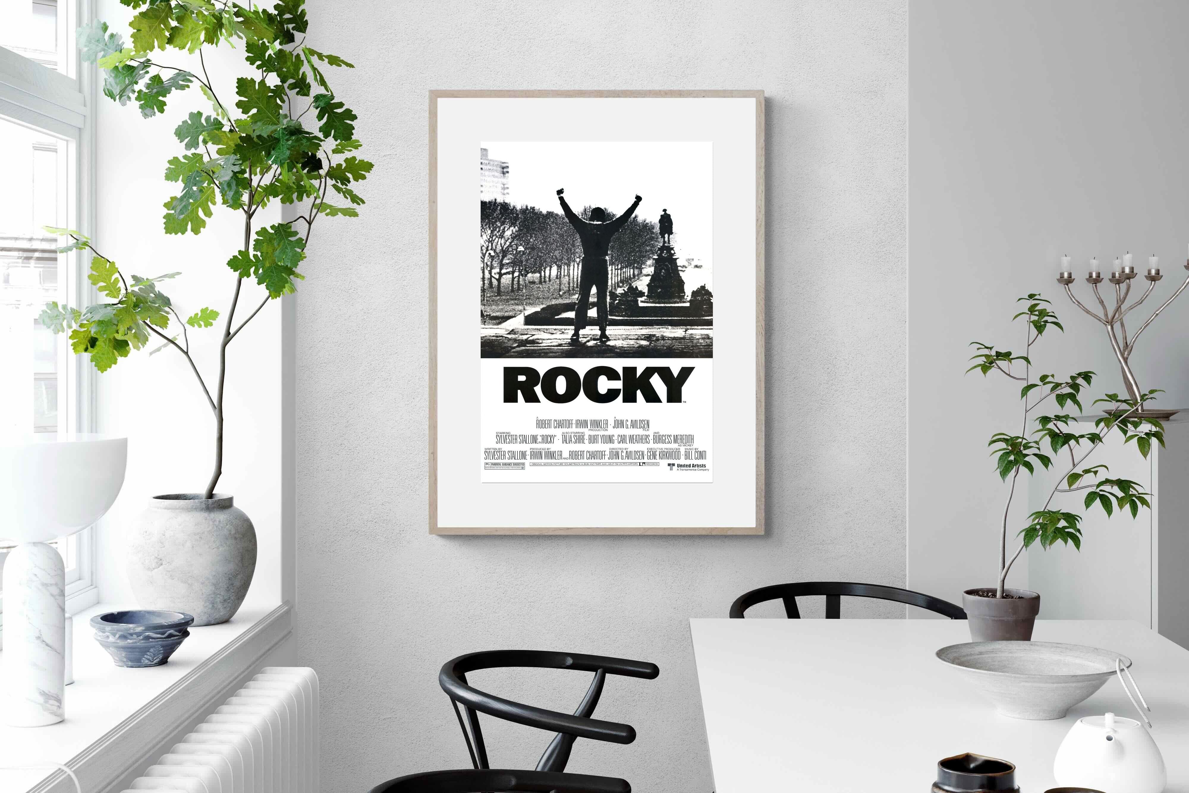 Pixalot Rocky