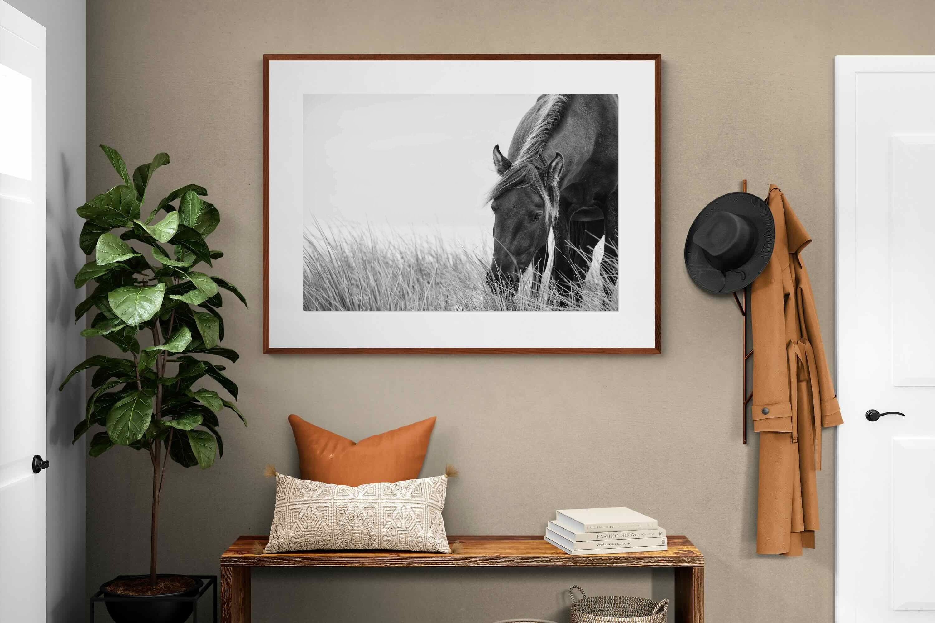 Pixalot ® Sable Stallion