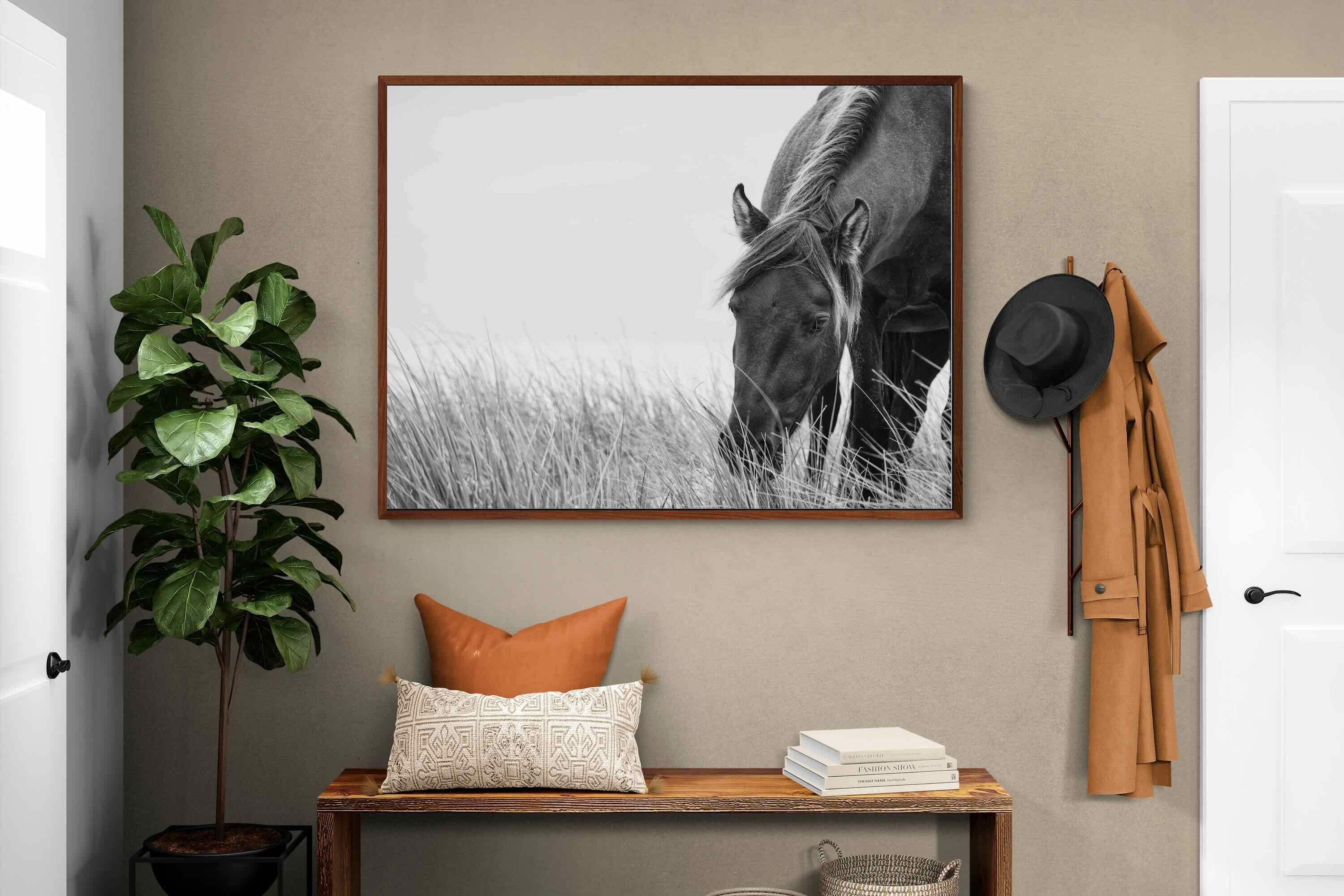 Pixalot ® Sable Stallion
