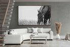 Pixalot ® Sable Stallion