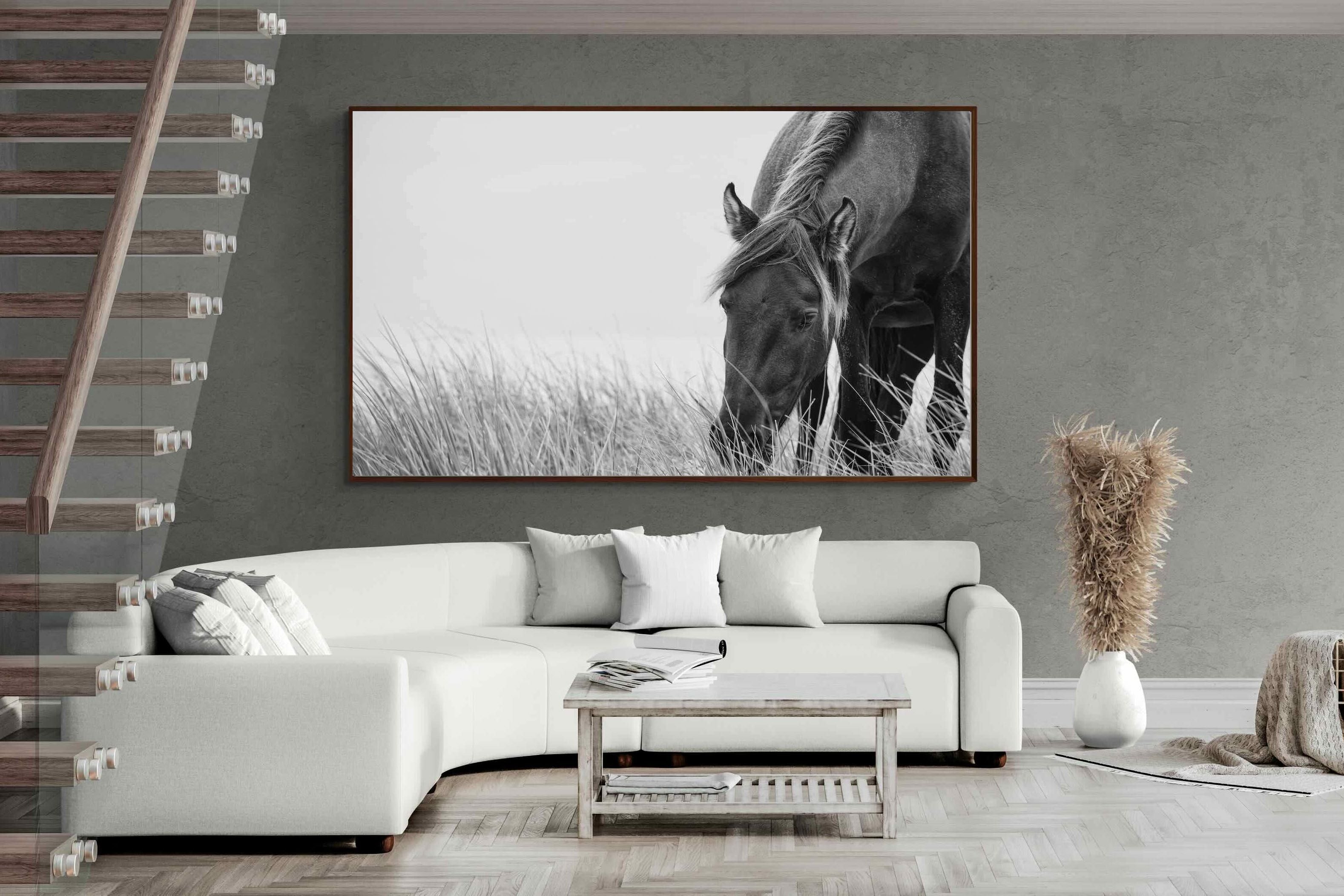 Pixalot ® Sable Stallion