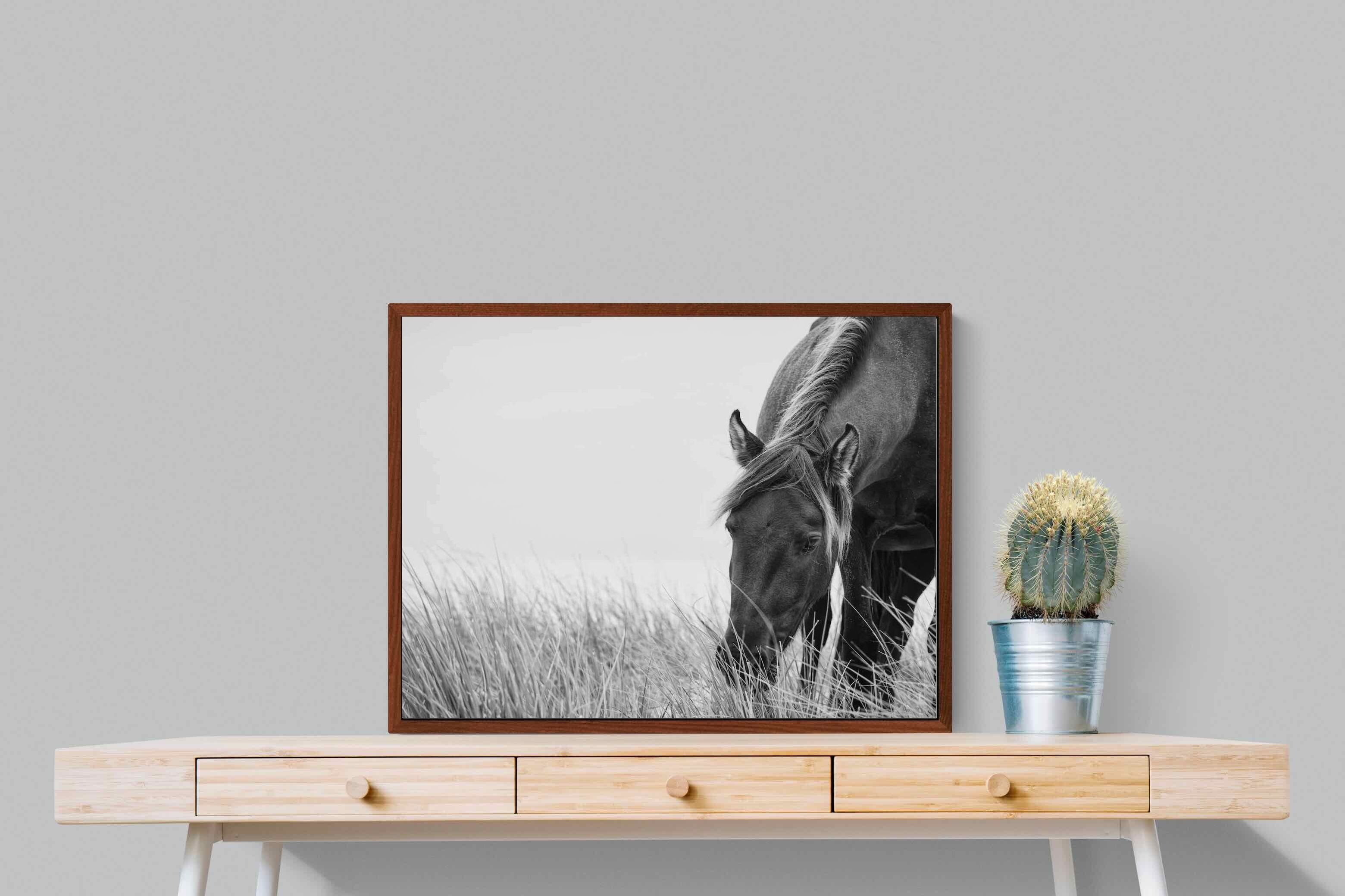 Pixalot ® Sable Stallion