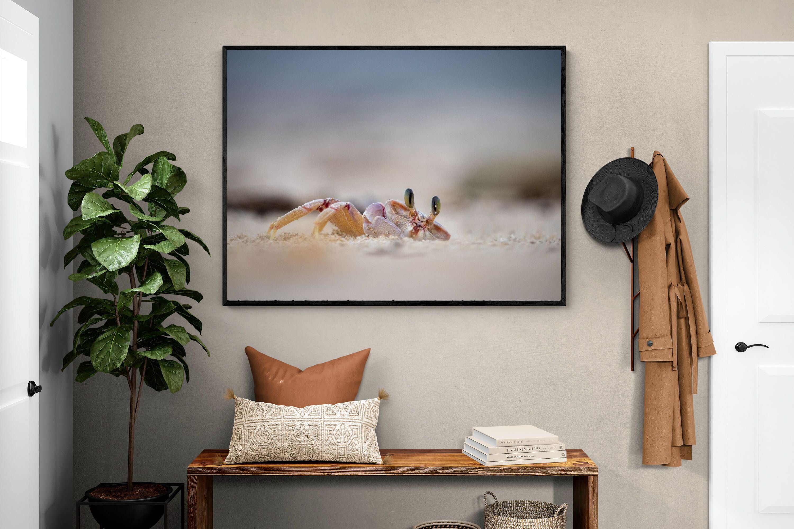 Pixalot Sand Crab