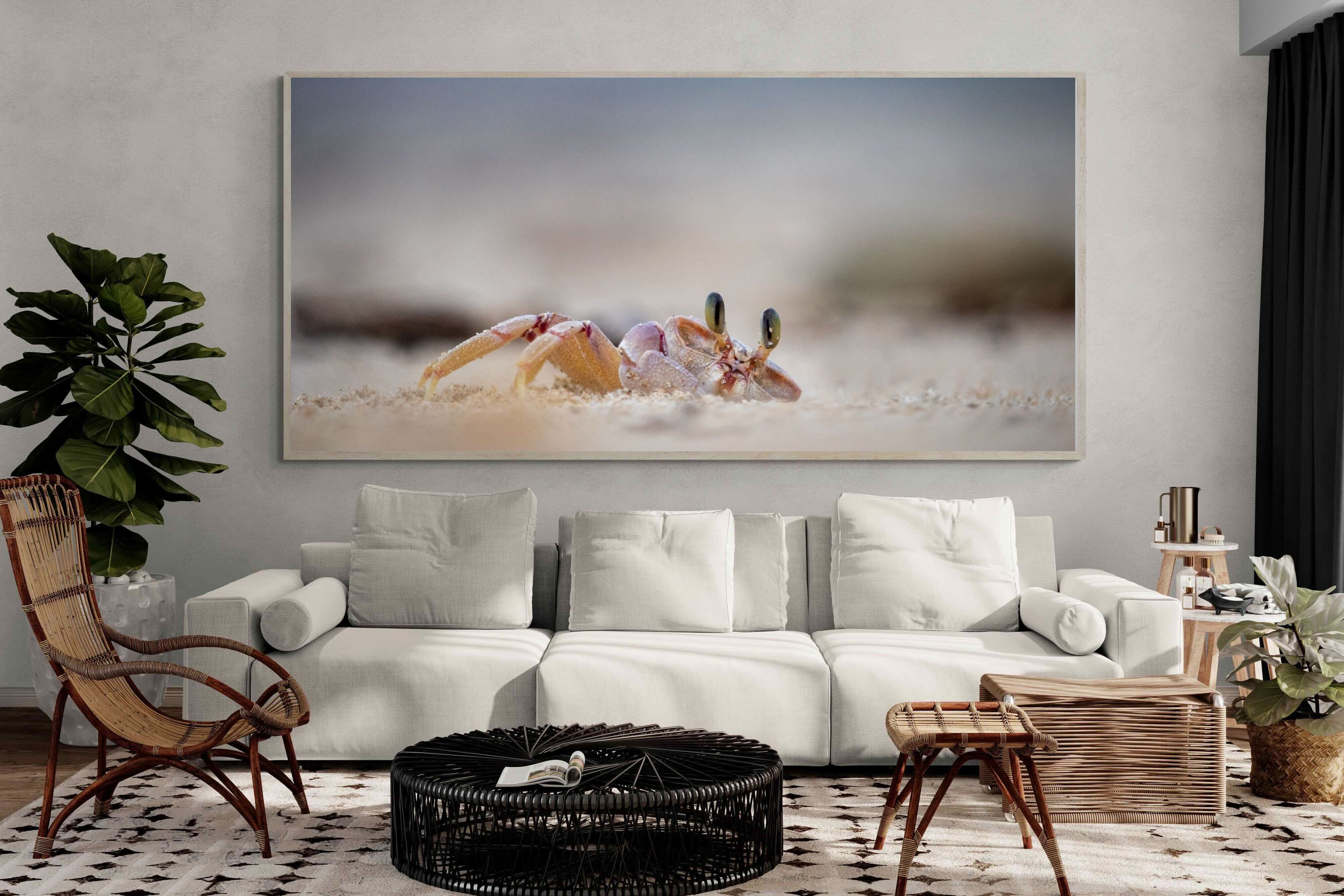 Pixalot Sand Crab