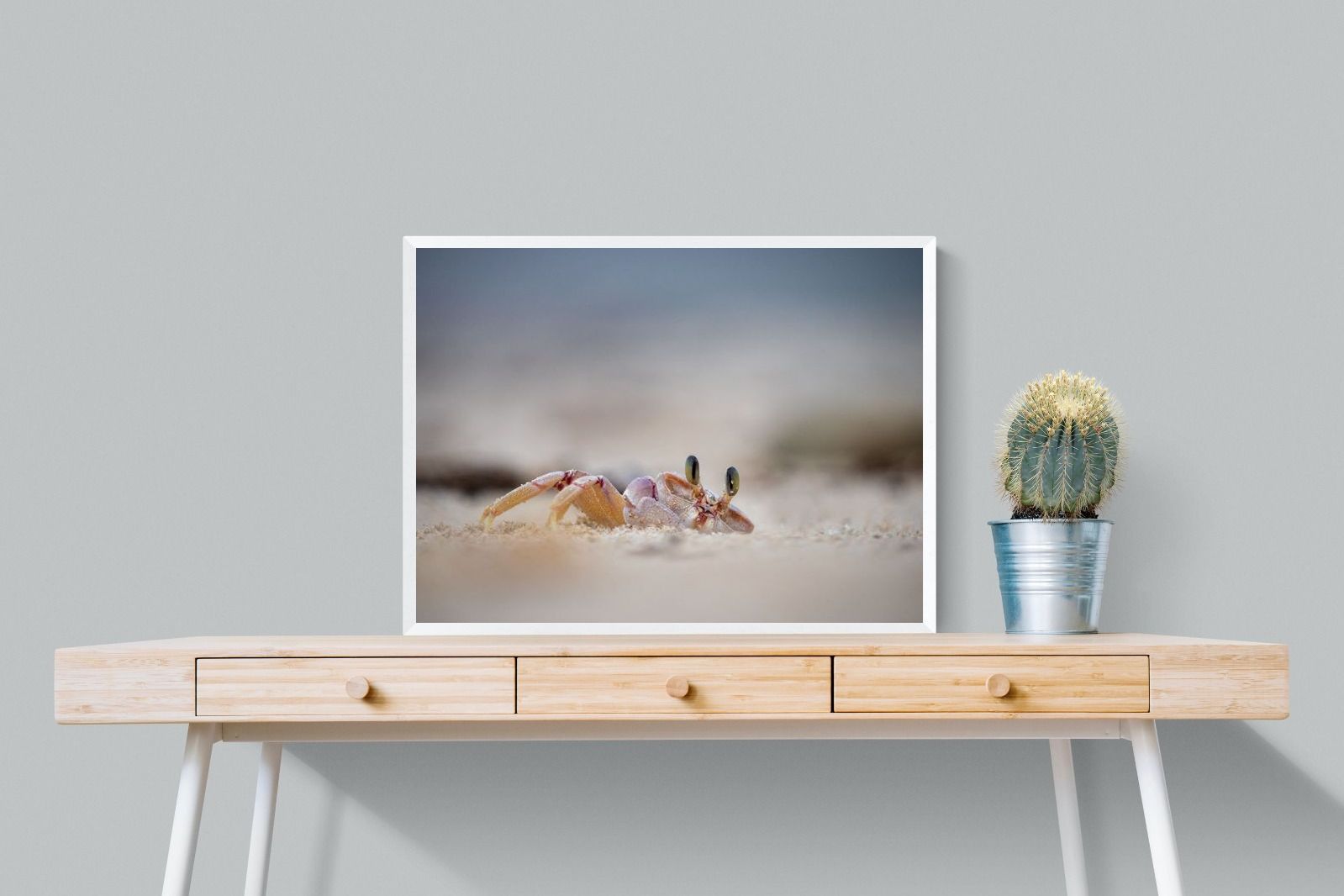 Pixalot Sand Crab