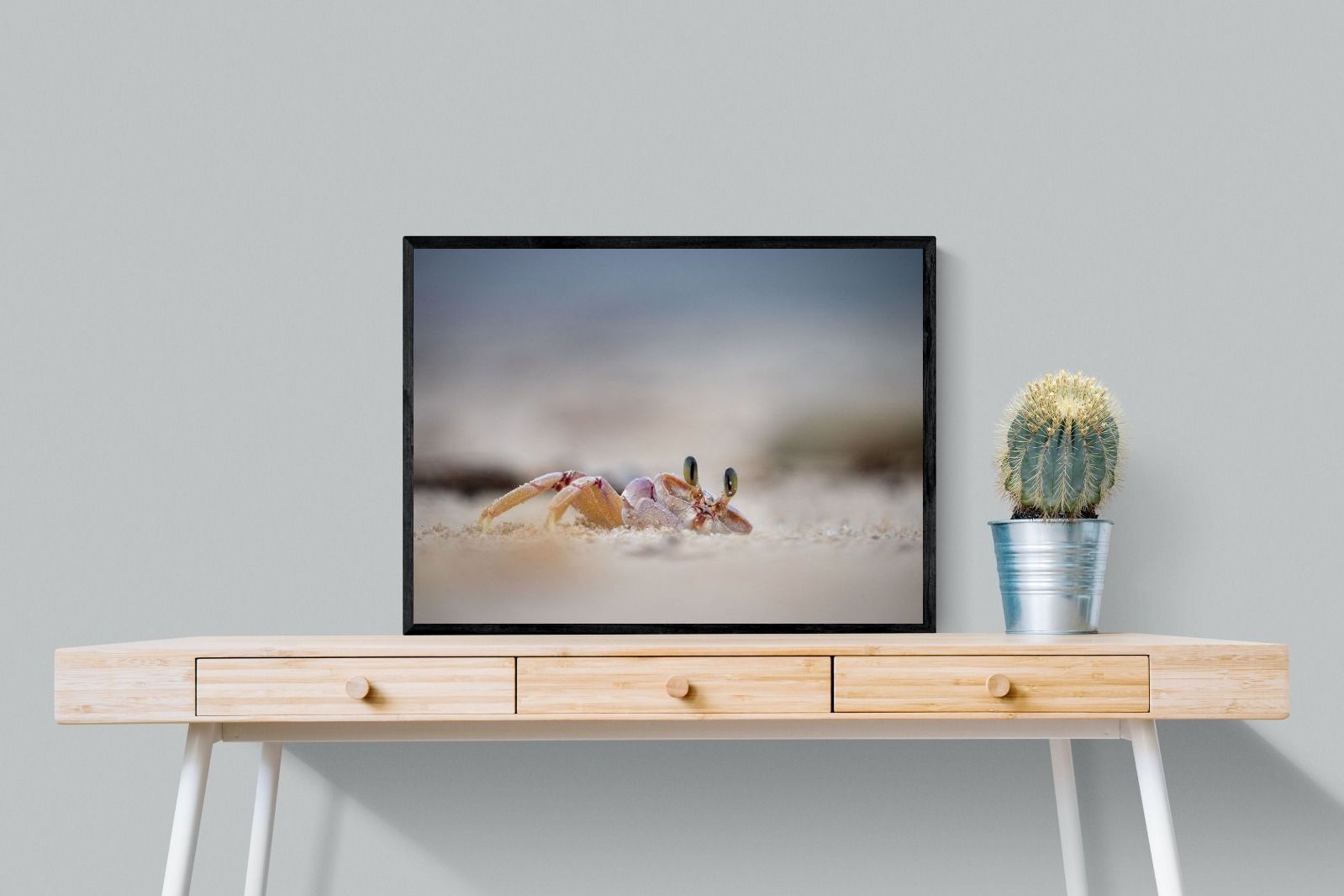 Pixalot Sand Crab