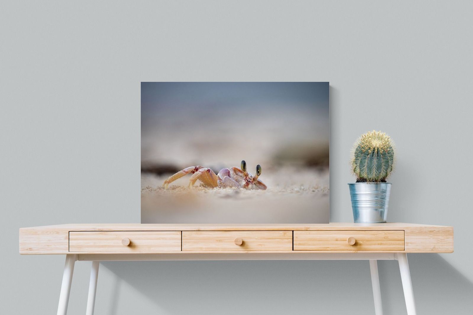 Pixalot Sand Crab