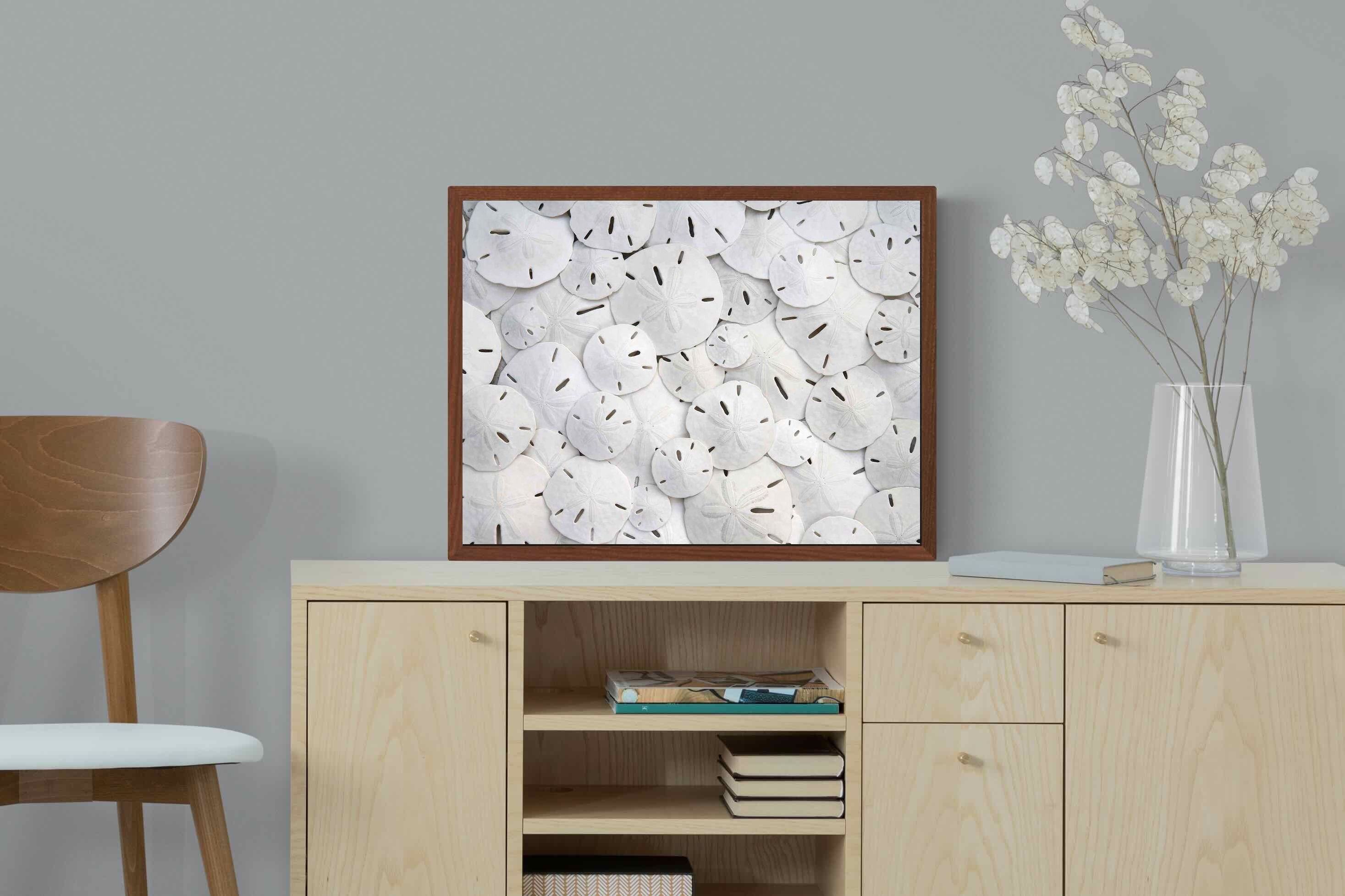 Pixalot ® Sand Dollars