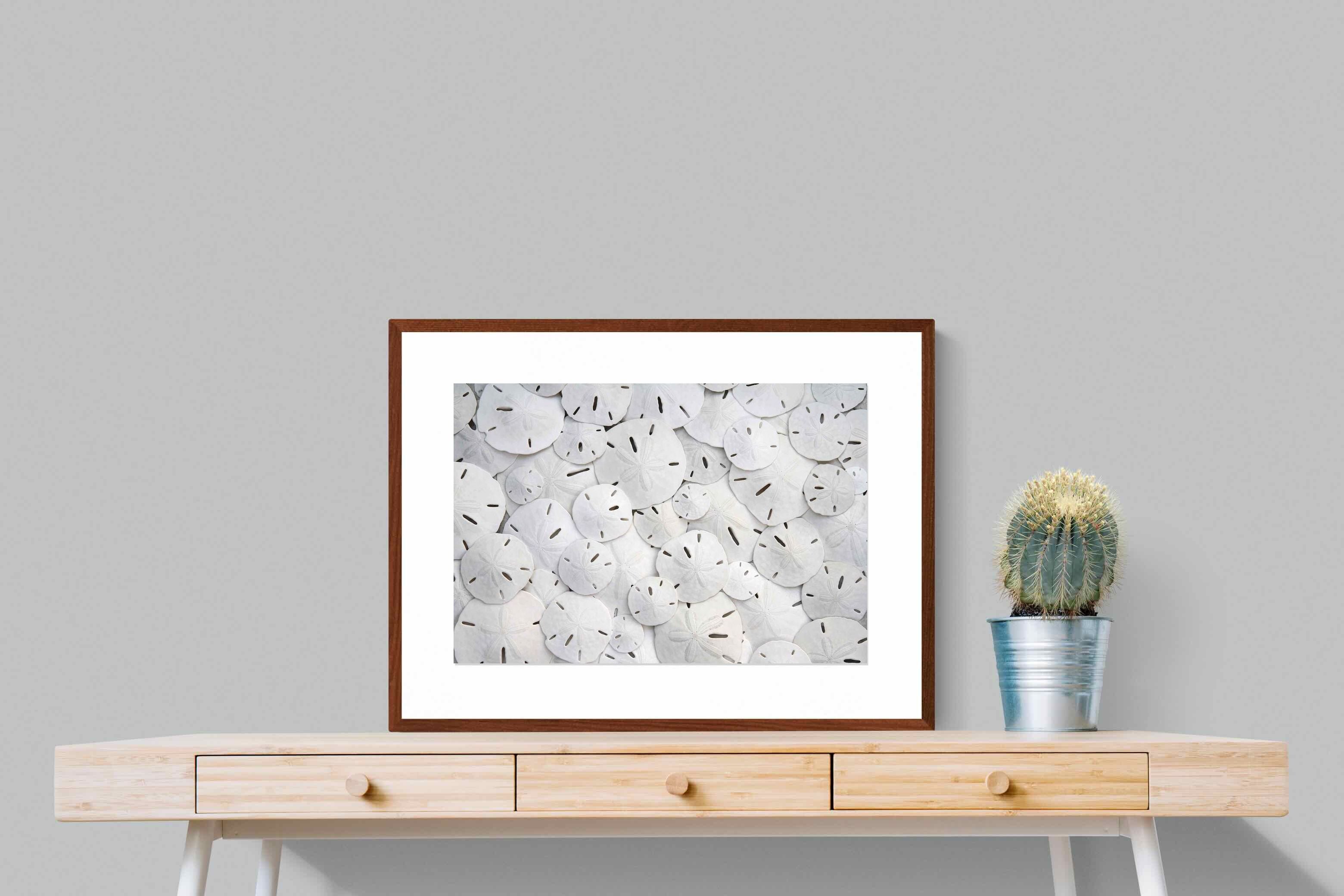 Pixalot ® Sand Dollars