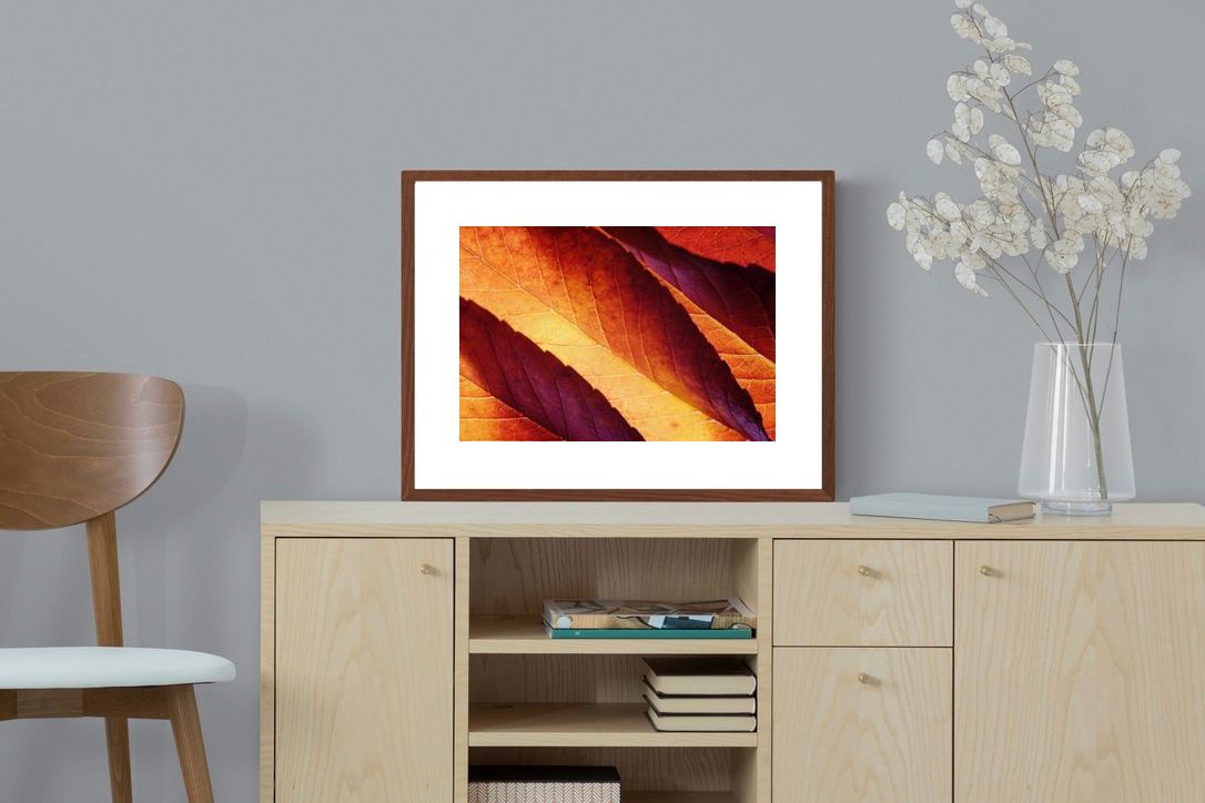 Pixalot ® Scarlet Leaves