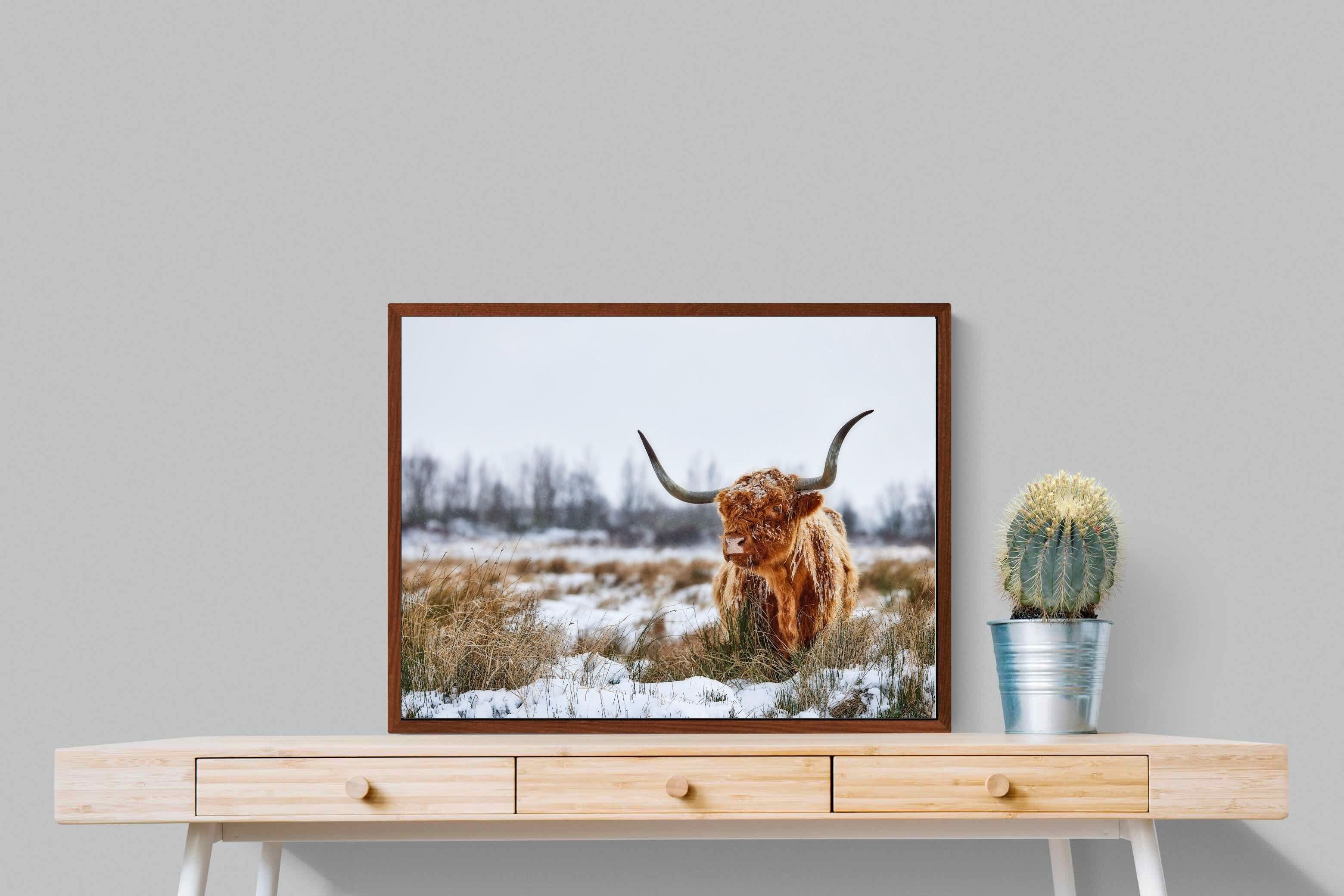 Pixalot ® Scottish Highlander (colour)