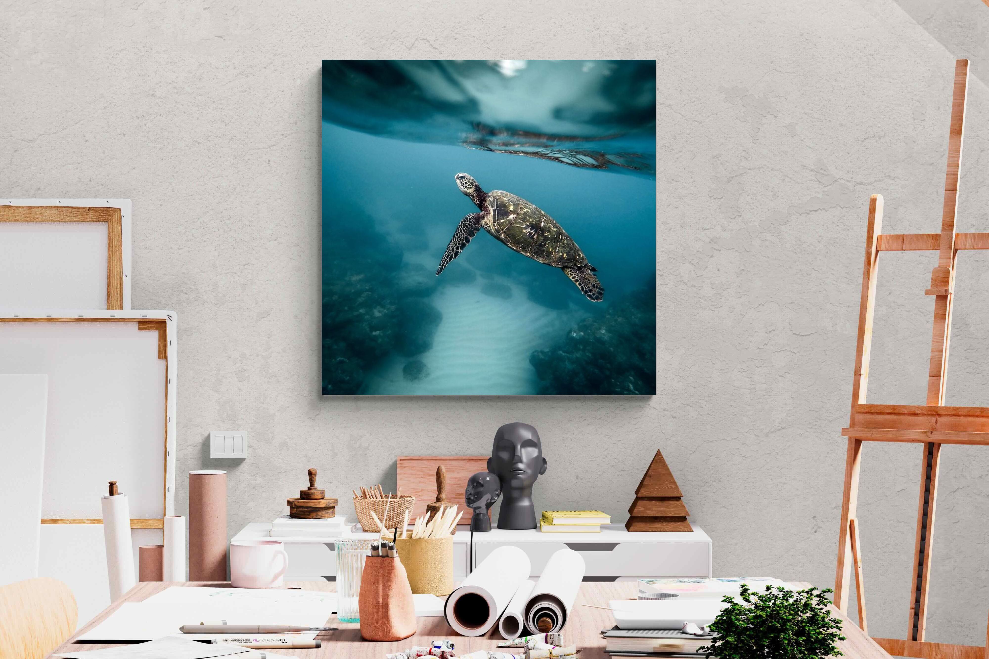 Pixalot Sea Turtle