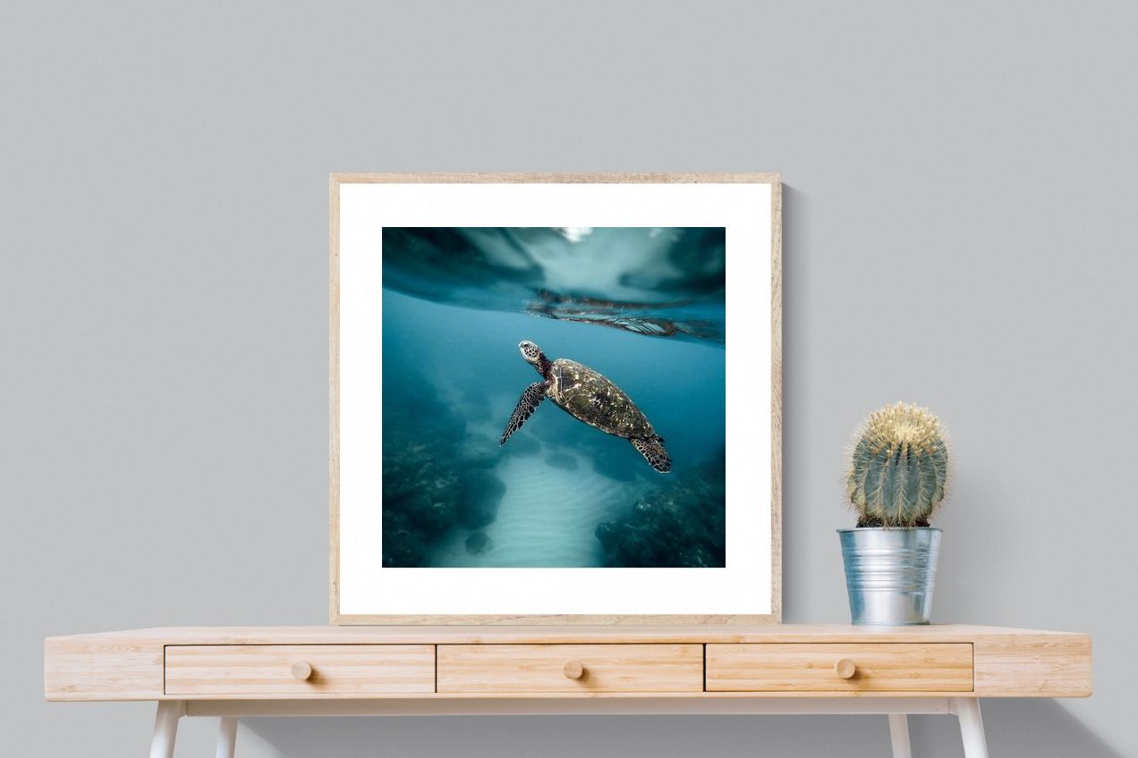 Pixalot Sea Turtle
