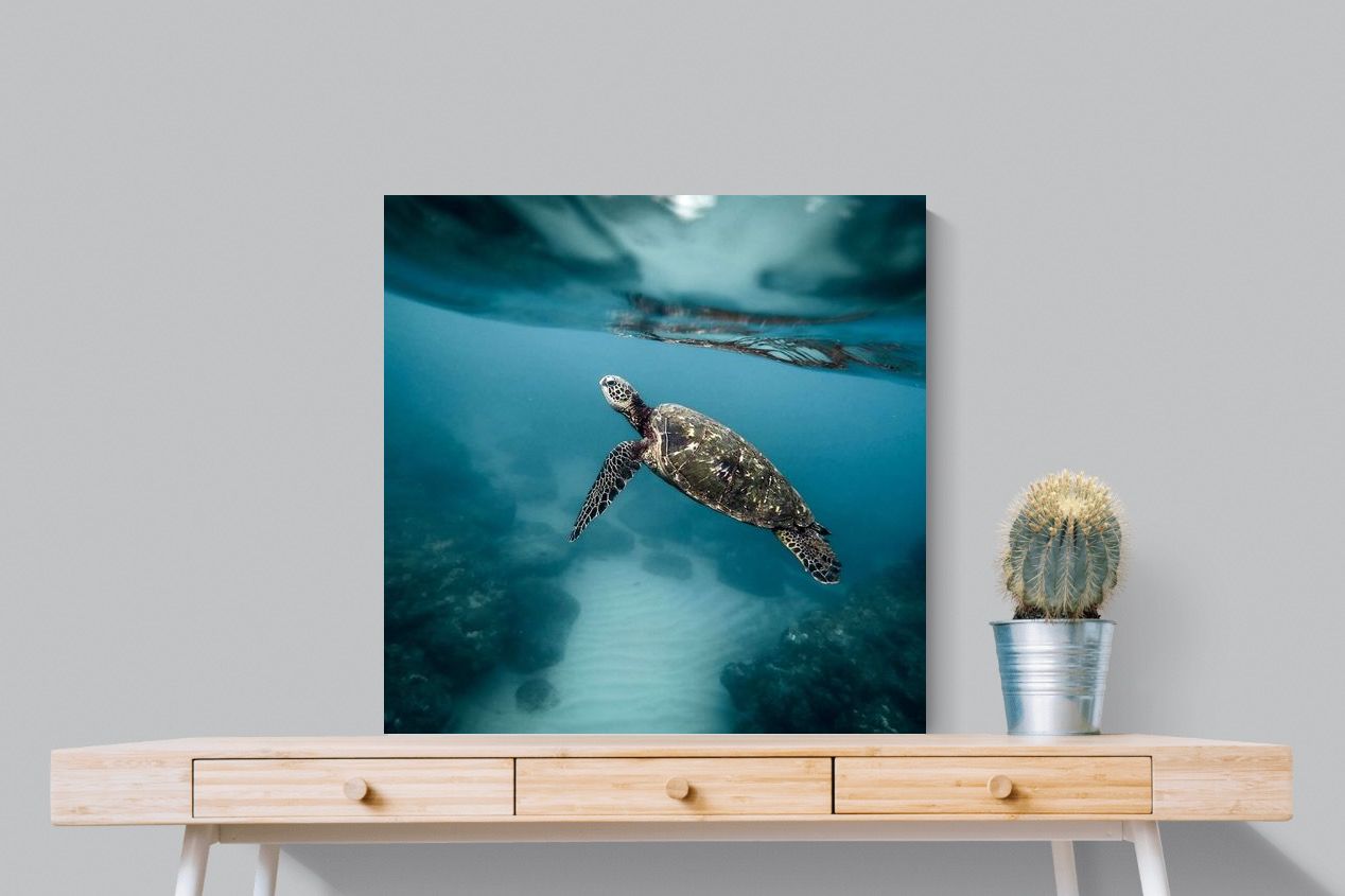 Pixalot Sea Turtle