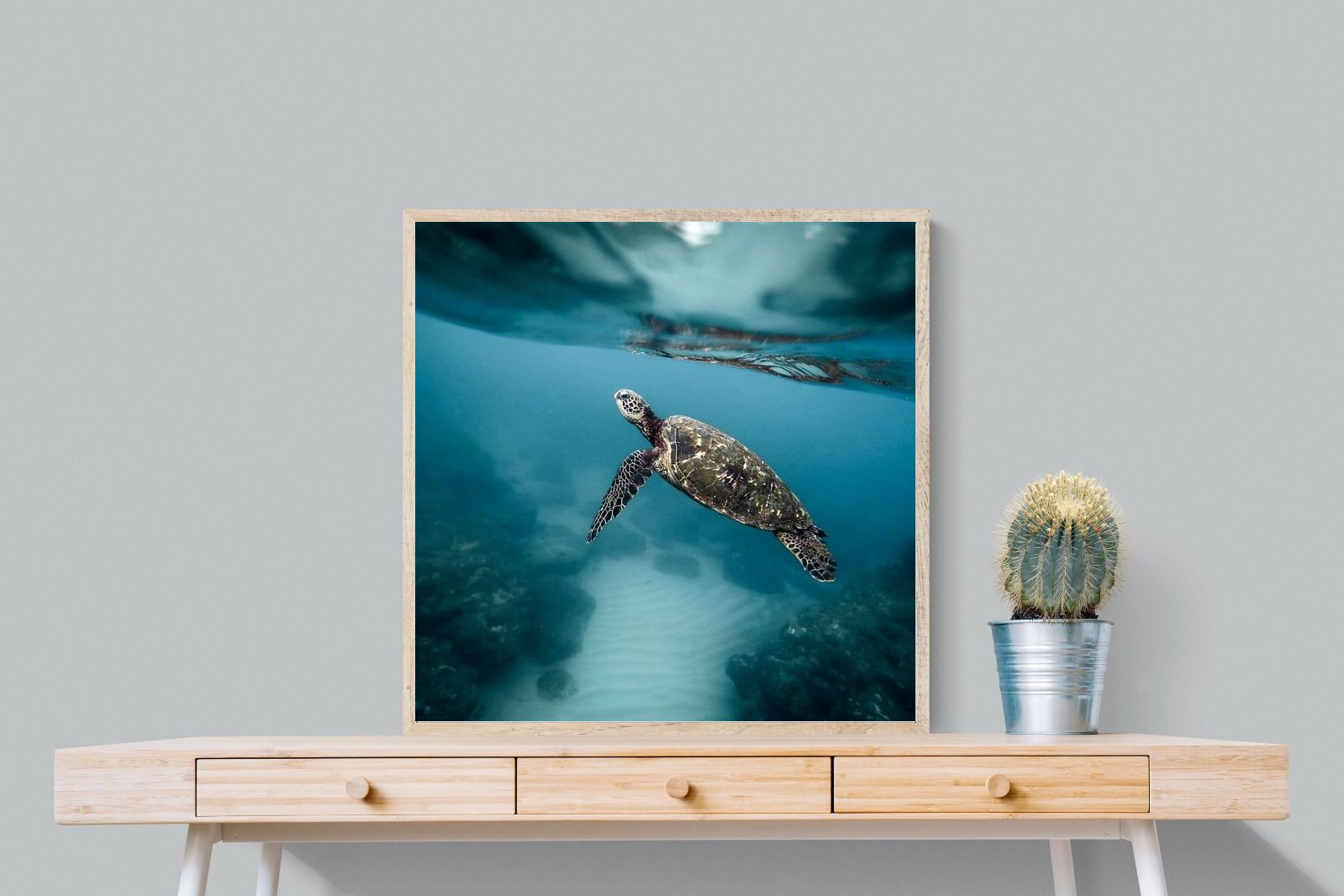 Pixalot Sea Turtle