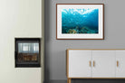 Pixalot ® Seabed