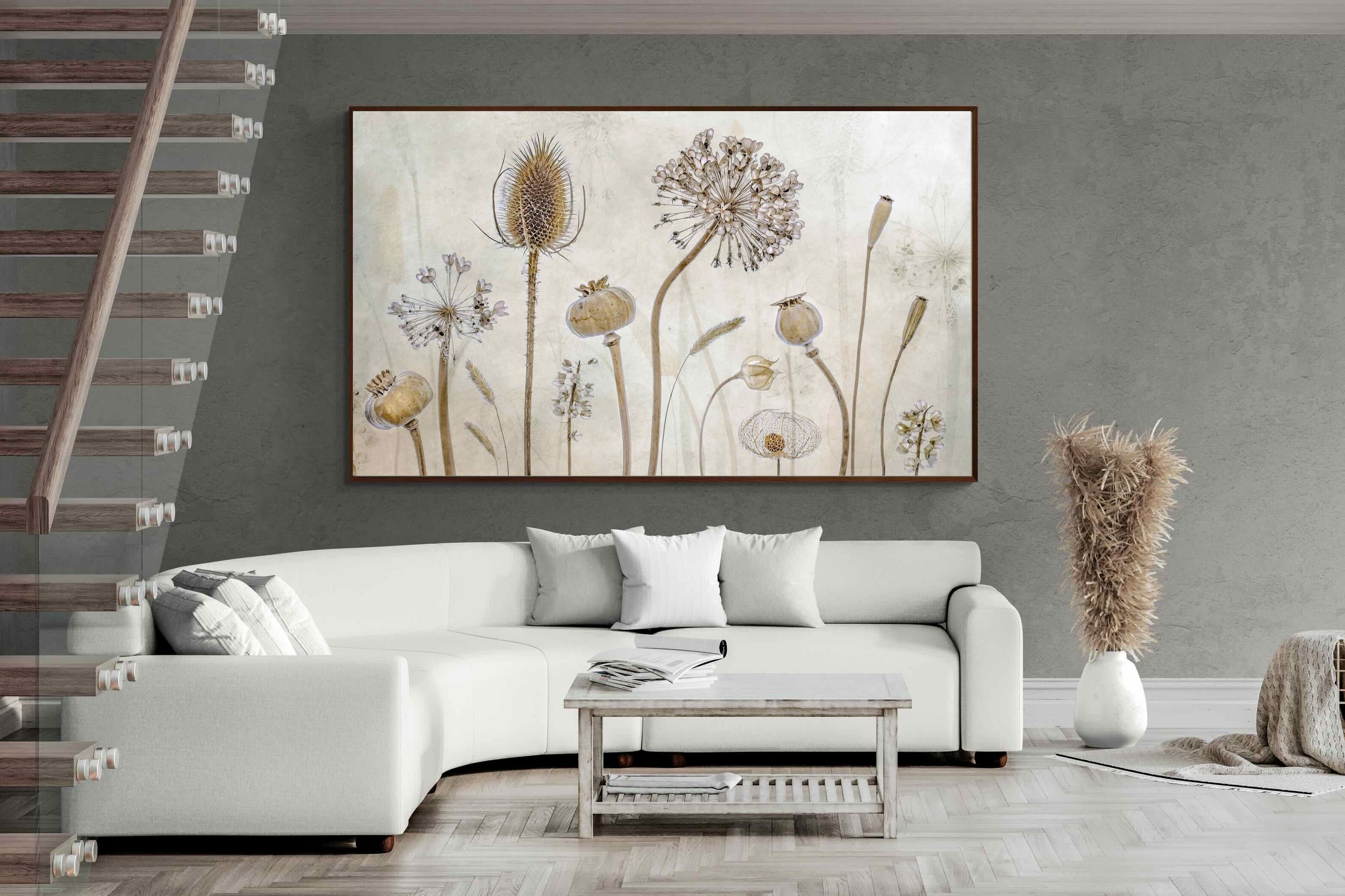 Pixalot ® Seed Pods