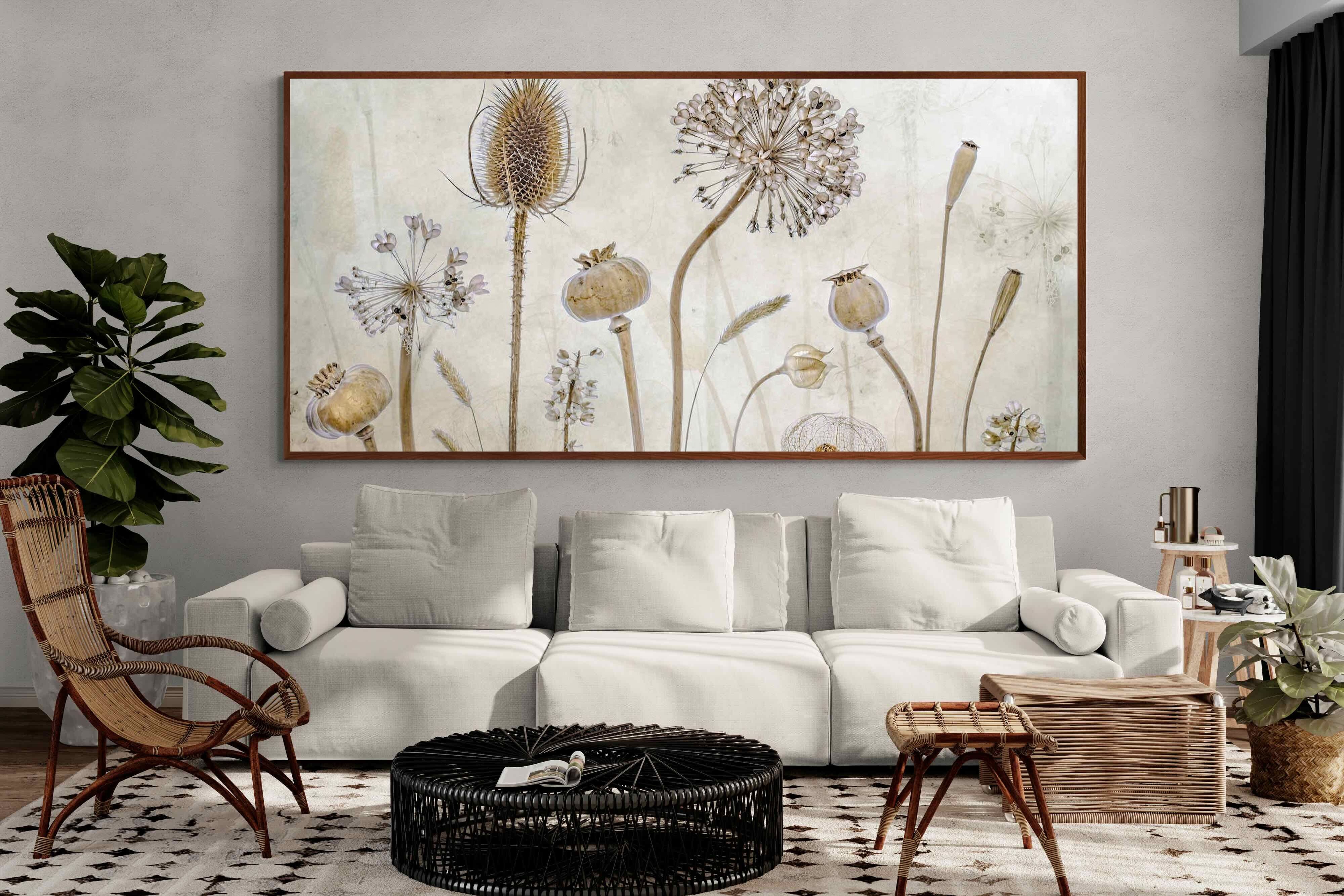 Pixalot ® Seed Pods