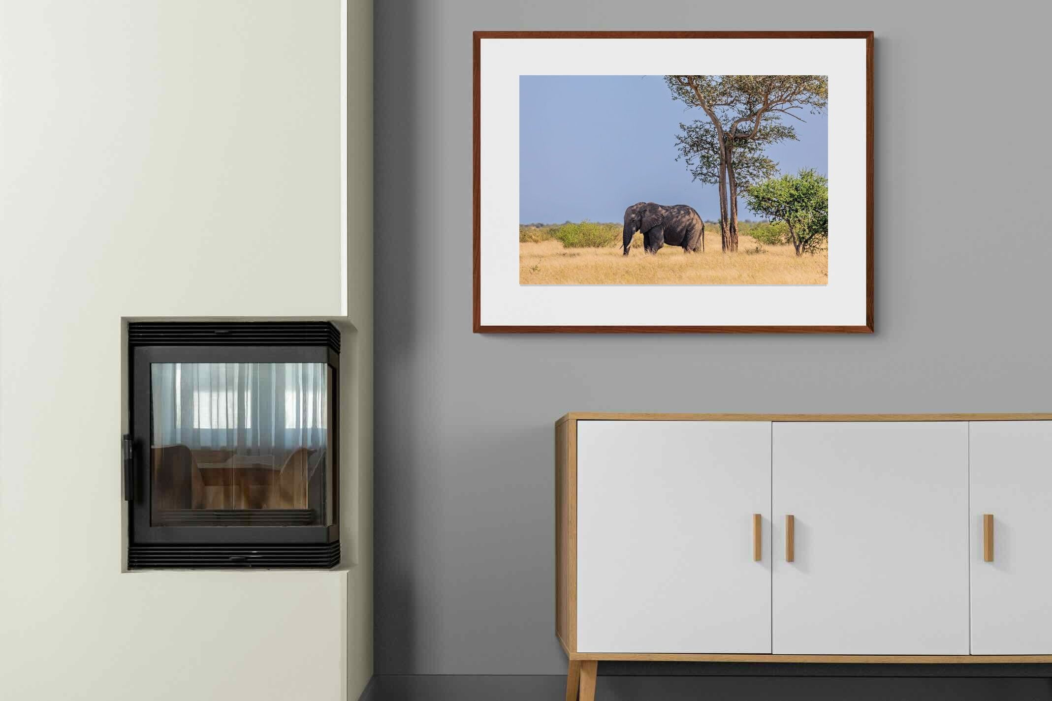 Pixalot ® Shady Elephant