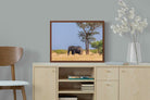 Pixalot ® Shady Elephant