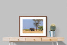 Pixalot ® Shady Elephant