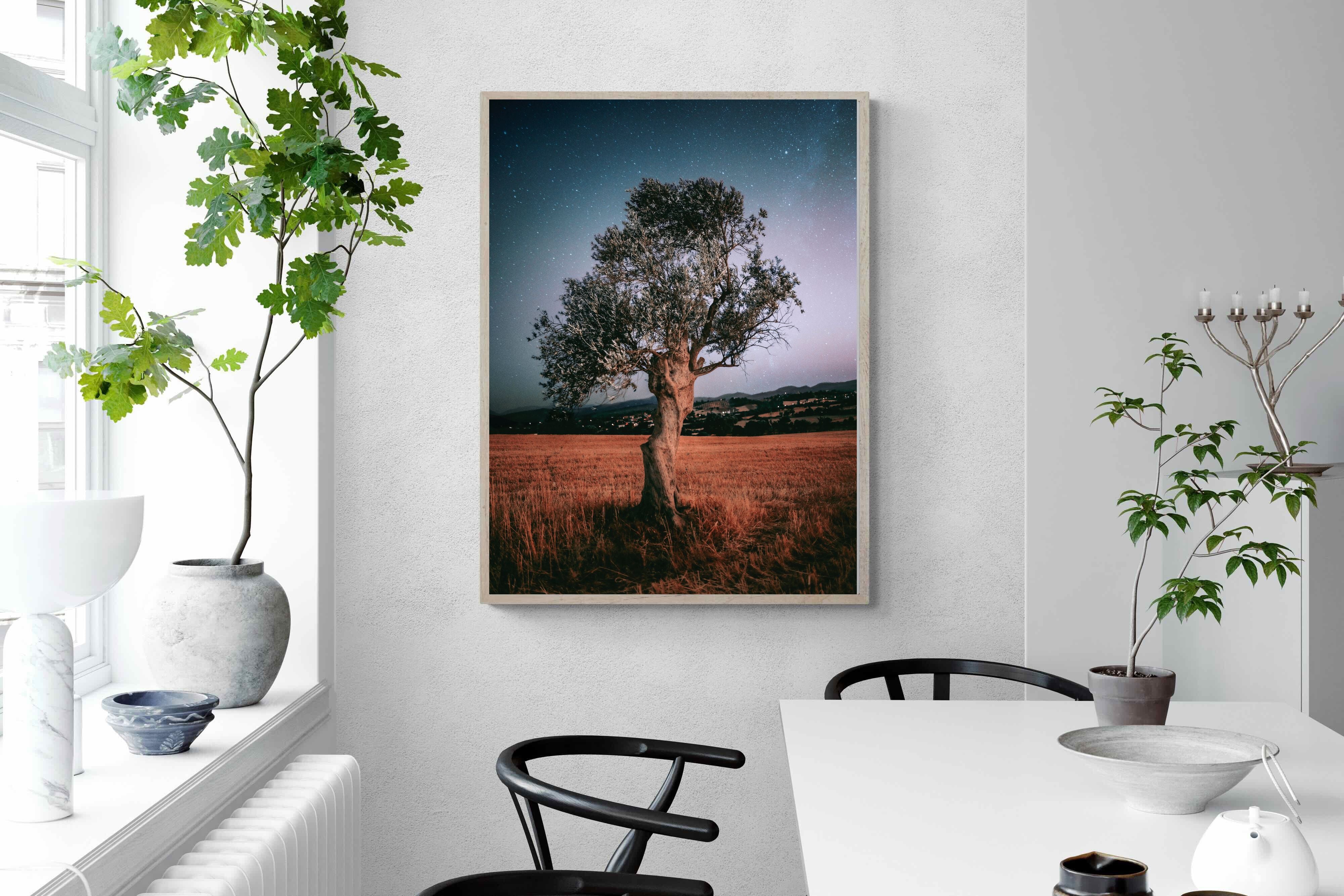 Pixalot Silent Sentinel