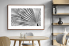 Pixalot ® Silver Palm
