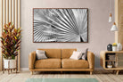 Pixalot ® Silver Palm