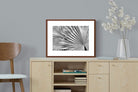 Pixalot ® Silver Palm