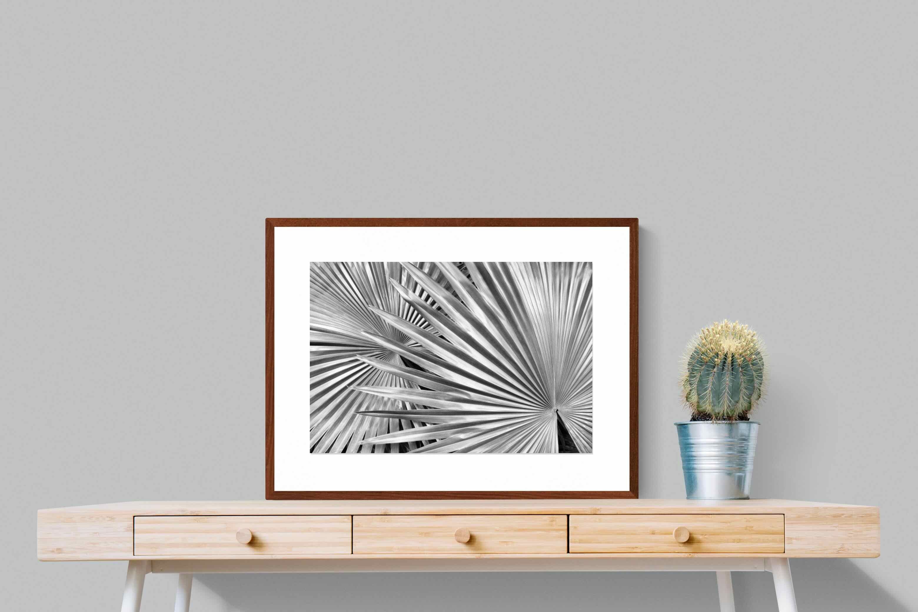 Pixalot ® Silver Palm