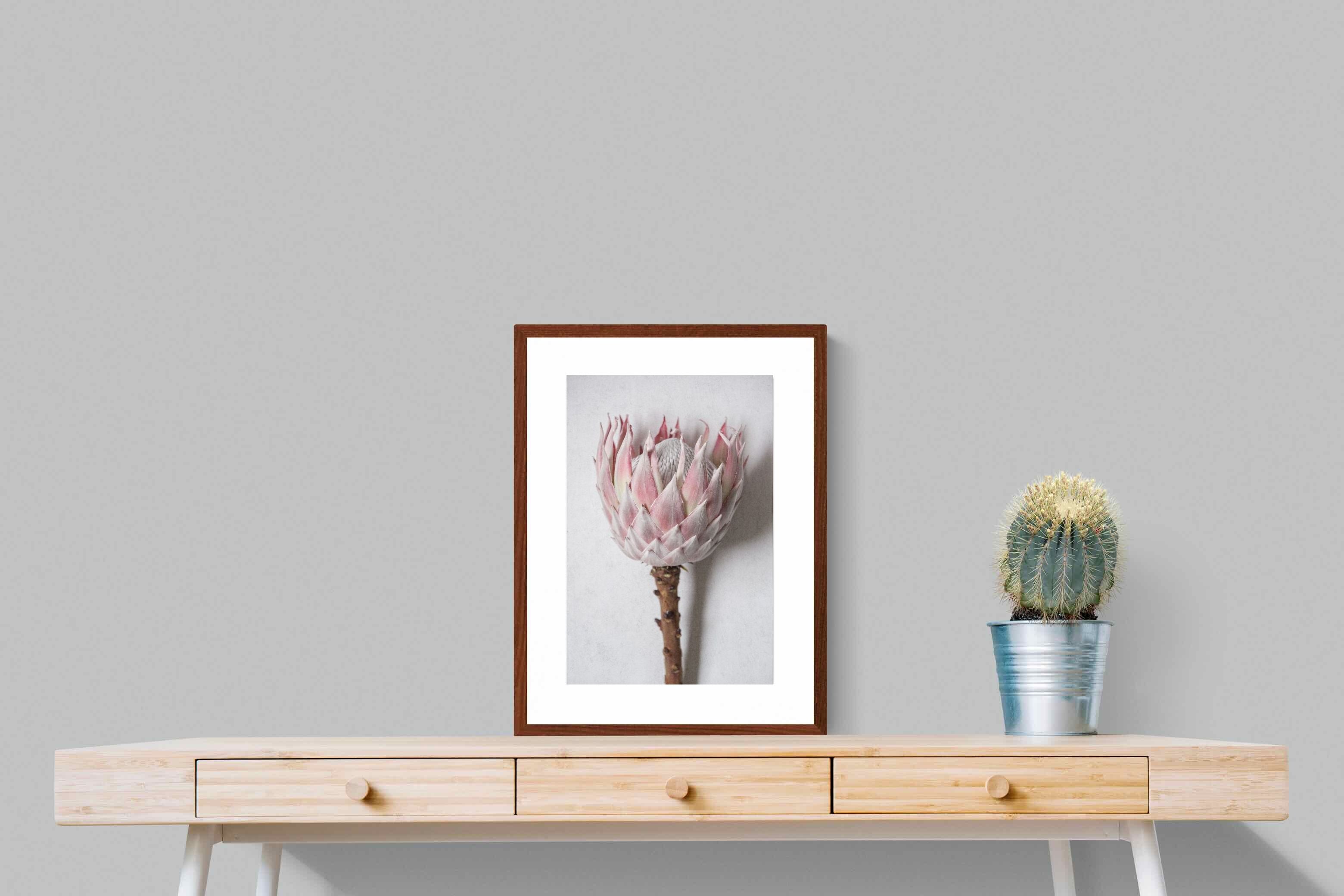 Pixalot Single Pink King Protea