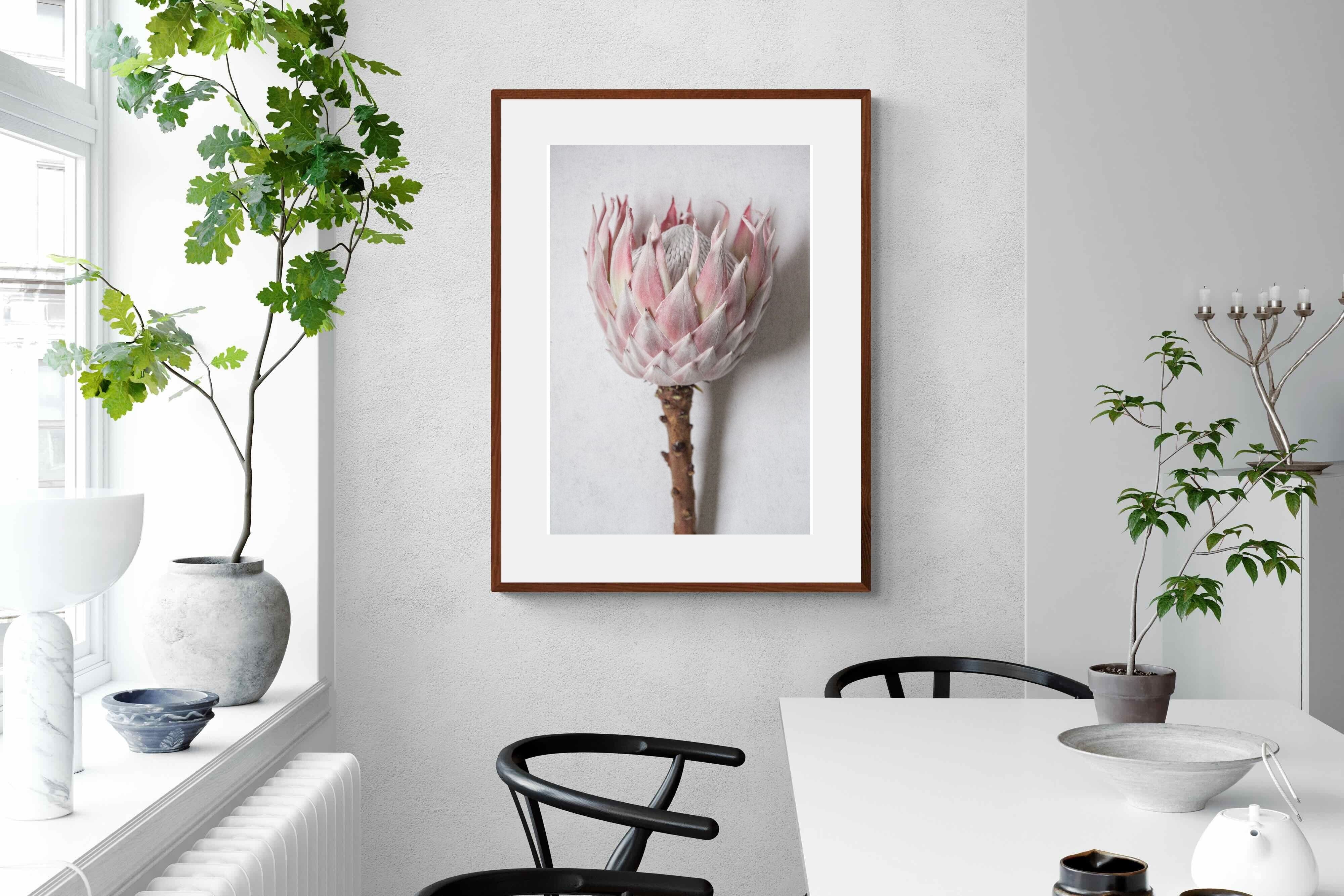 Pixalot Single Pink King Protea