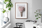 Pixalot Single Pink King Protea