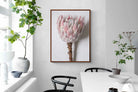 Pixalot Single Pink King Protea