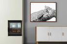 Pixalot ® Sleeping Leopard